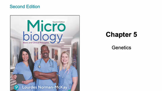 Central Dogma